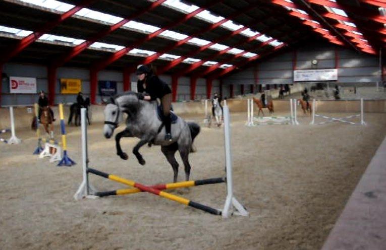 Holstener Colt 45 billede 26