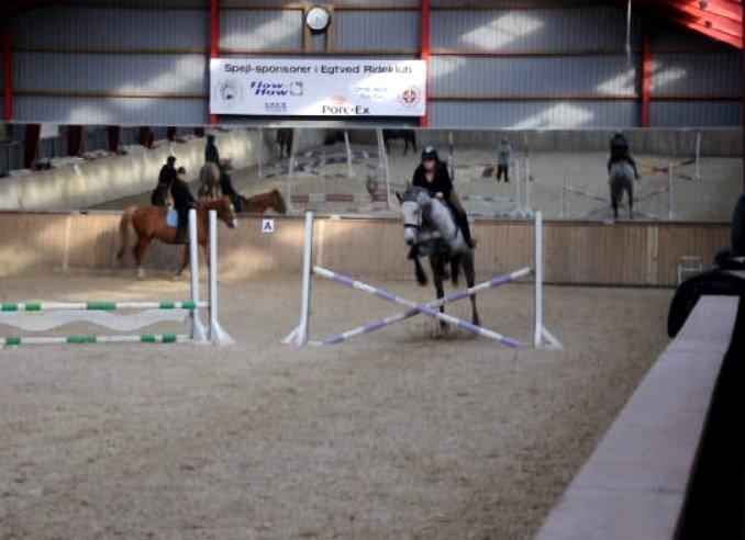 Holstener Colt 45 billede 32