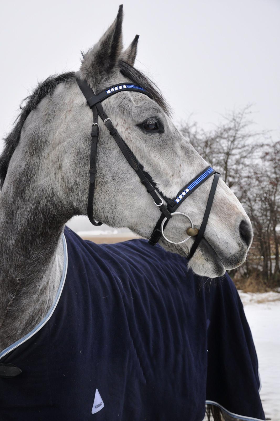 Holstener Colt 45 billede 17