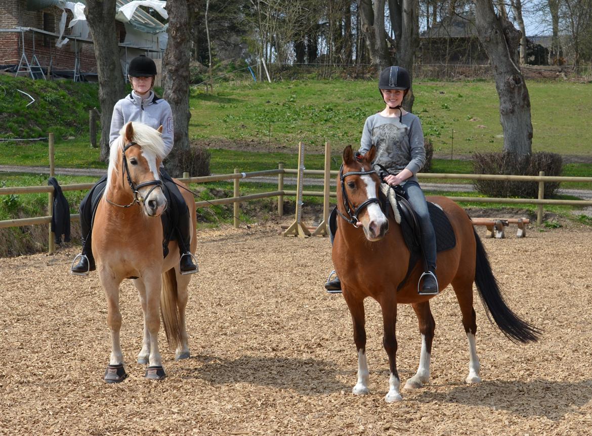 Haflinger N. Don Carlos (red) - Mig på Don Carlos og Anna på Scarlett. :-) billede 9