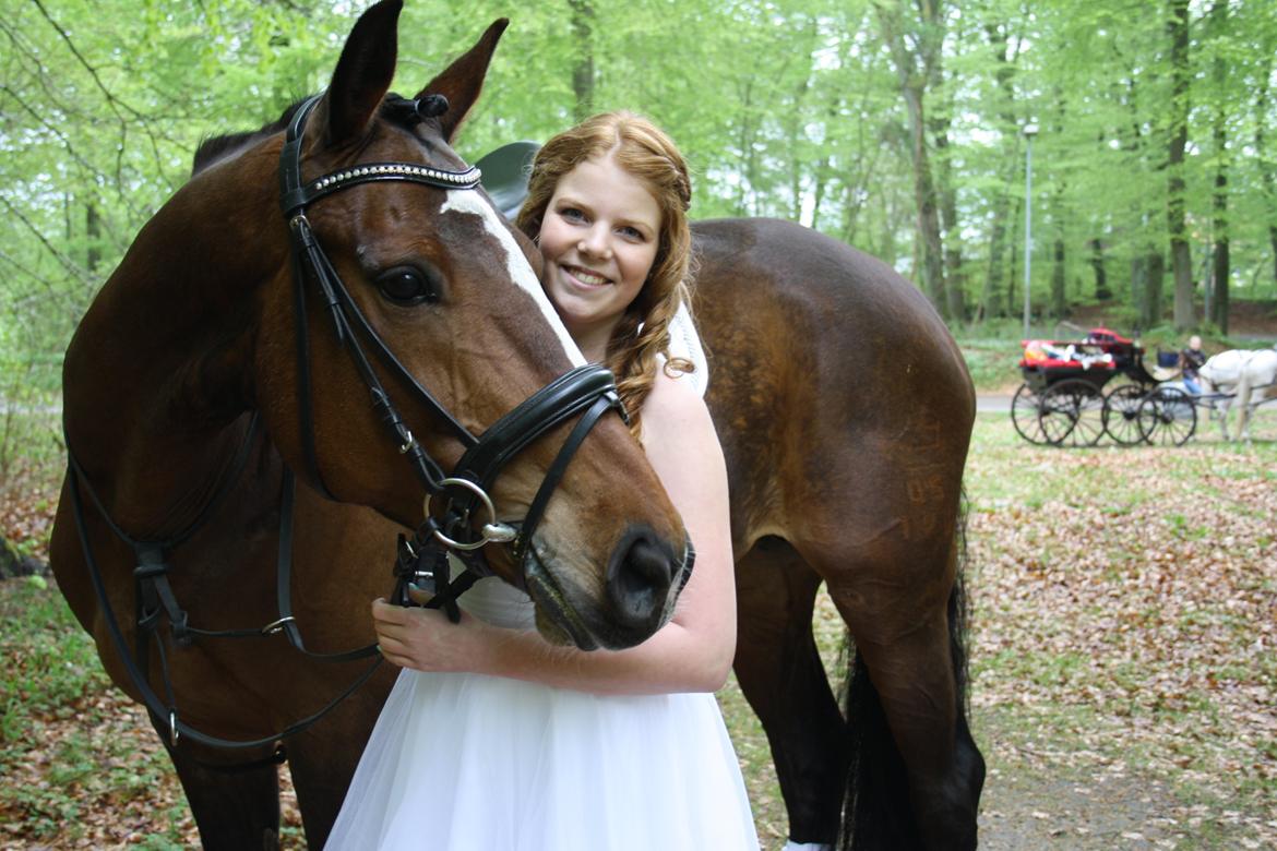 Dansk Varmblod Miss Felicia - Fille til min konfirmation<3 Forår 2013. billede 13