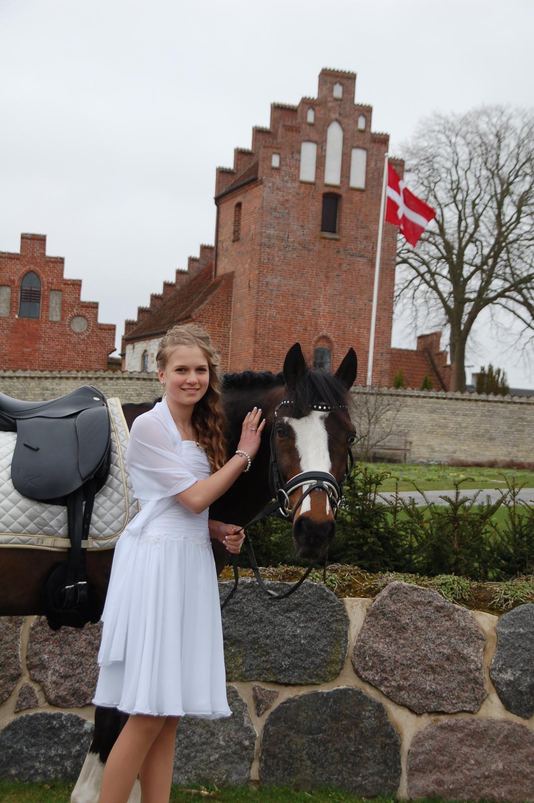 Tysk Sportspony Farbenfroh - Farbi kom til kirken til min konfirmation<3 billede 8