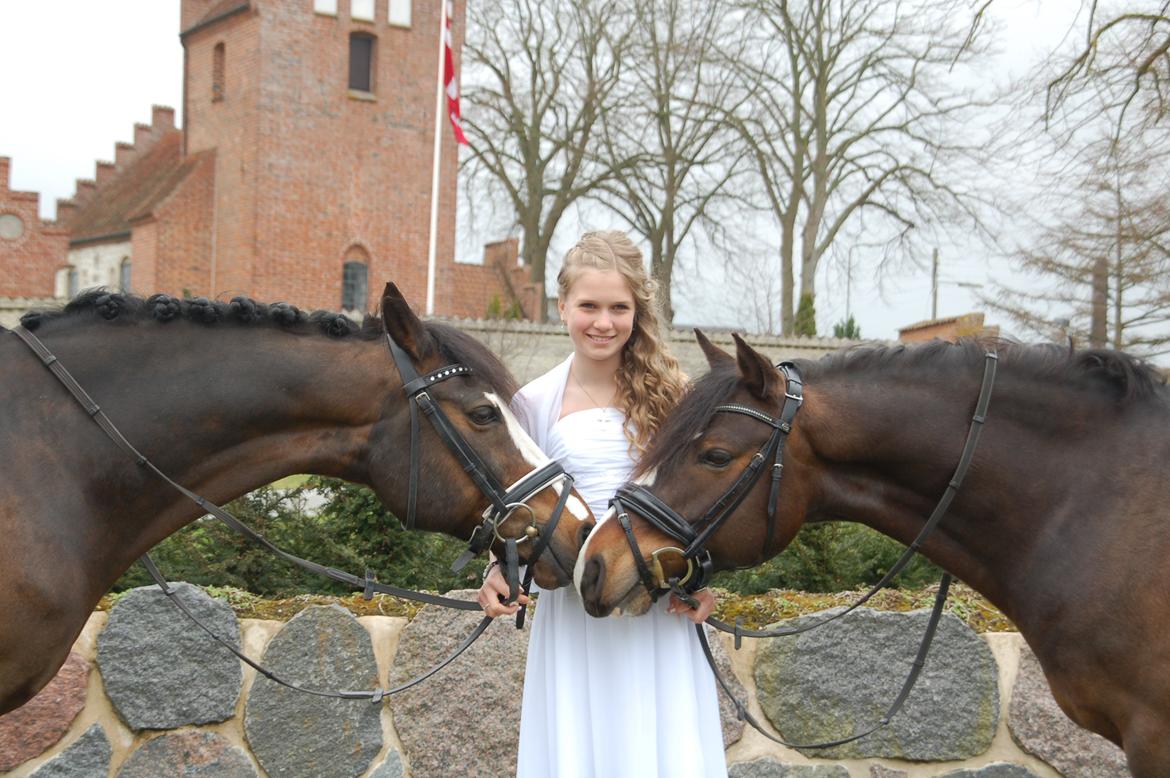 Tysk Sportspony Farbenfroh - Farbi og Cassi<3 min konfirmation!! billede 10