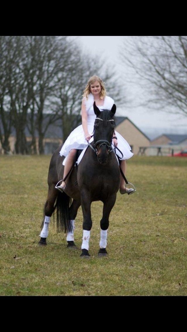 Oldenborg Titus (Hvil i fred min prins <3) - Konfirmation-14-04-2013. <3 billede 6