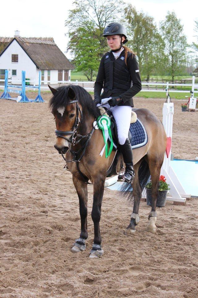 Anden særlig race July - Gamle låner, Silche Kreiner, og July blev nr. 3 til Nordsjællandsmesterskaberne i 2013. De sprang MB** metode B12, hvor de blev fejlfrie i de to hovedrunder og i omspringningen.  billede 11