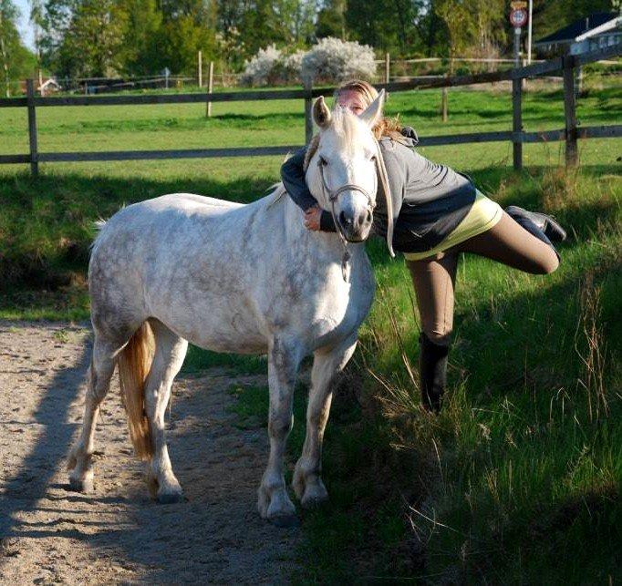 Connemara ASASARA GEILÉIS billede 8