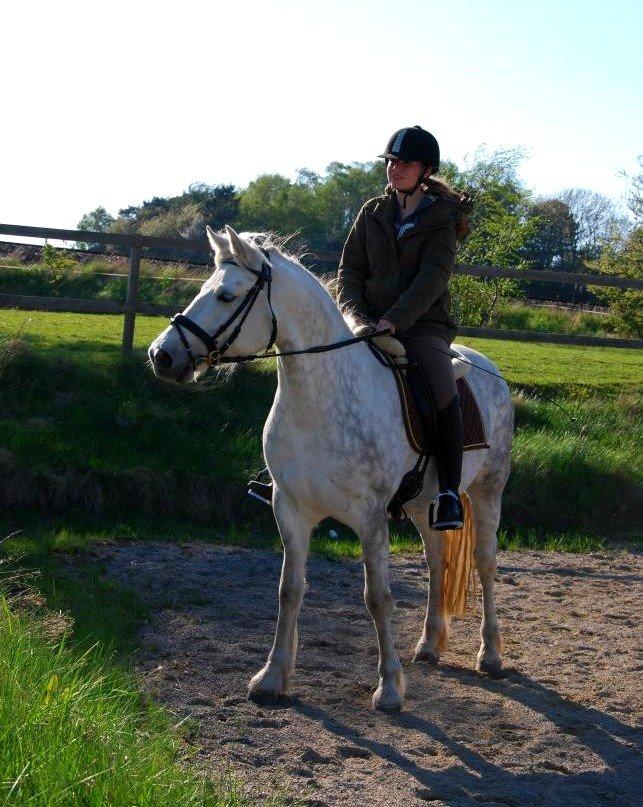 Connemara ASASARA GEILÉIS billede 9