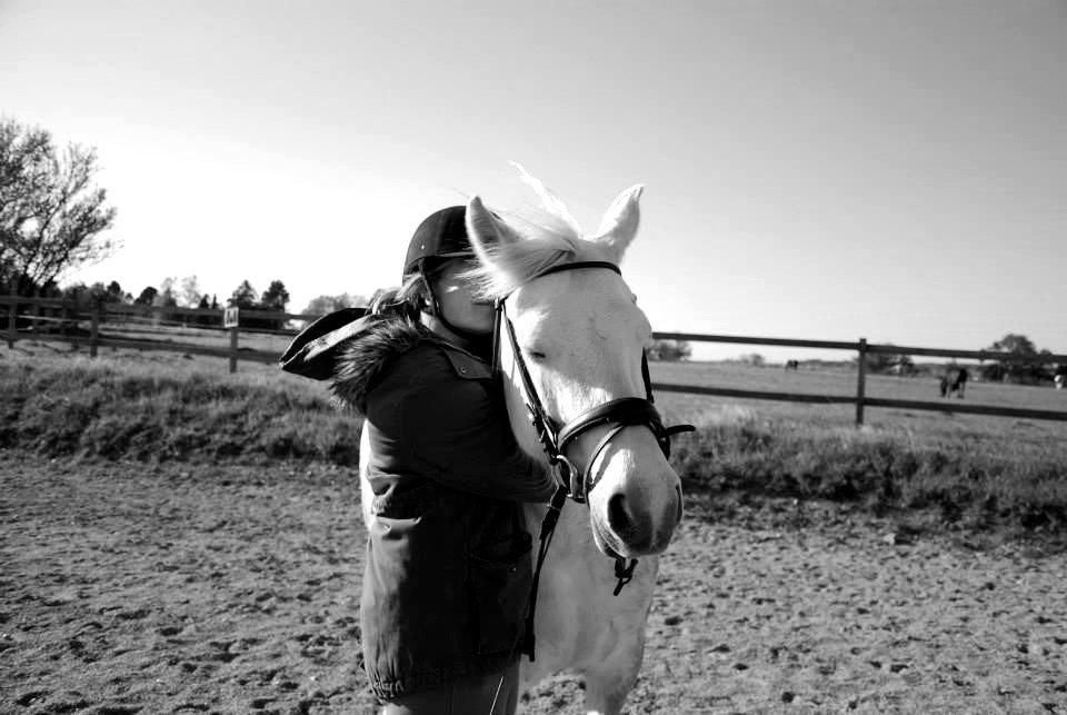 Connemara ASASARA GEILÉIS billede 12