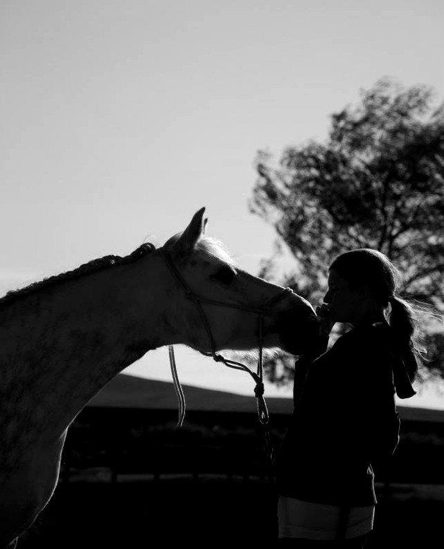 Connemara ASASARA GEILÉIS billede 13