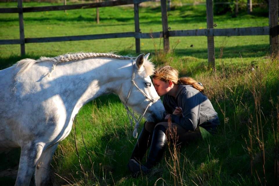 Connemara ASASARA GEILÉIS billede 16