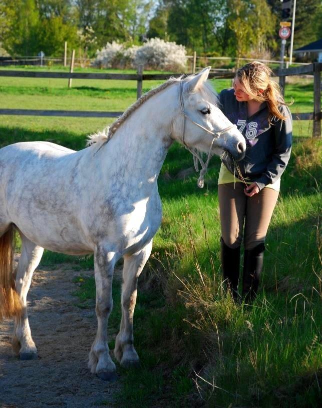 Connemara ASASARA GEILÉIS billede 19