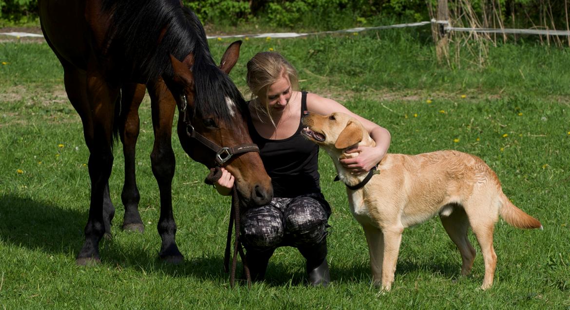 Tysk Oldenburger Gørklintgårds Wilaya - Maj 2013 | De bedste! <3 | Foto: Sahra billede 5