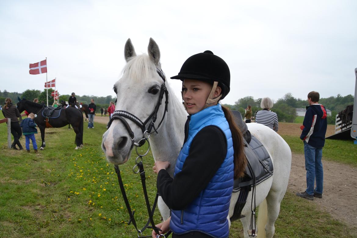 Tysk Sportspony Maidens Blush - Musse pony! <3 Fotograf: Mor billede 11