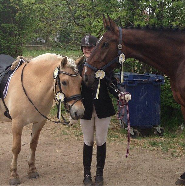 Dansk Varmblod ELMIRA *Elle* - min små babyer <3
 billede 8