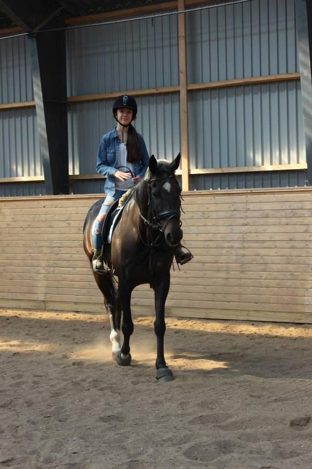 Anden særlig race Thunder Fairy [Tidl lån][Himmel hest] billede 2