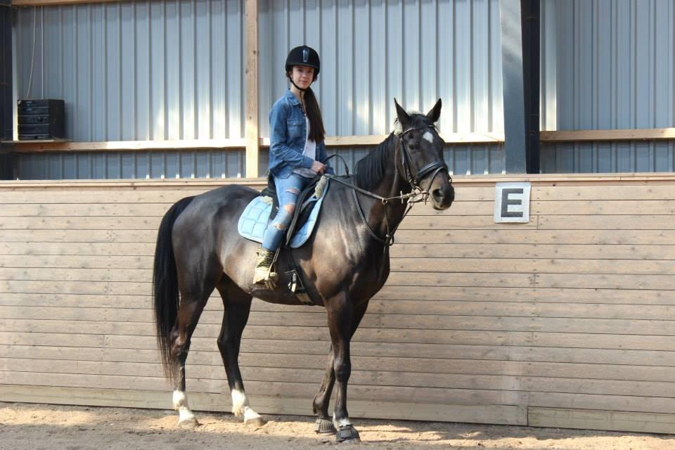 Anden særlig race Thunder Fairy [Tidl lån][Himmel hest] billede 1