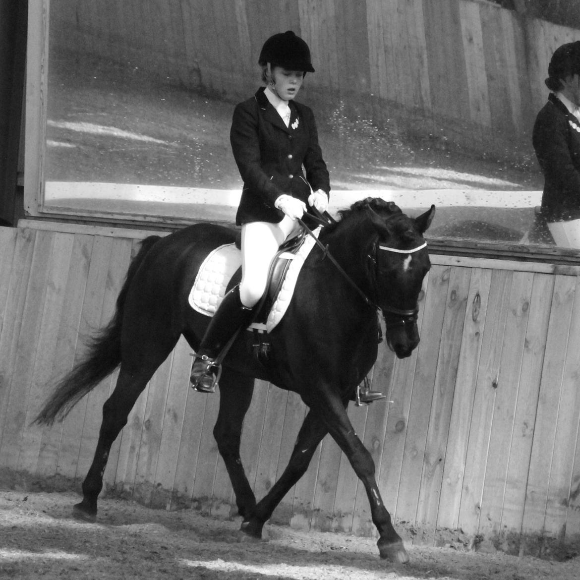 New Forest Kikkenberg's Rikki billede 11