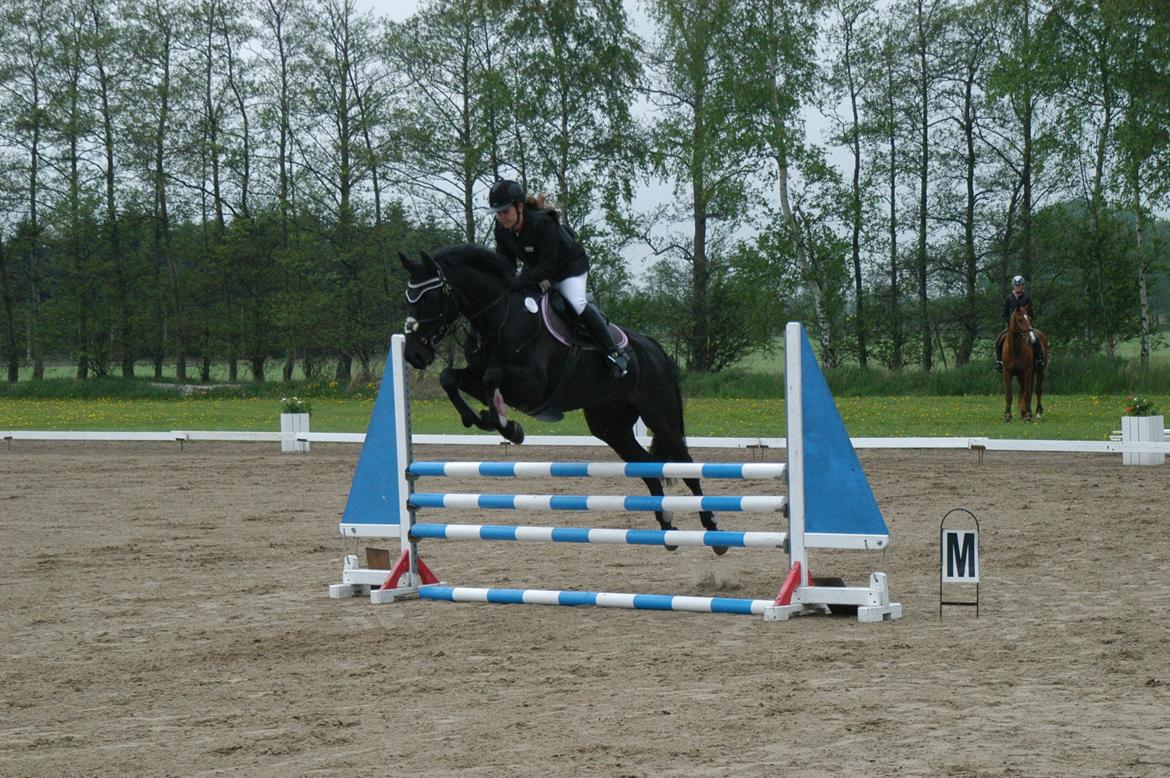 Anden særlig race IVER - 19.05.13 BOGØ LD-spring. :) billede 18