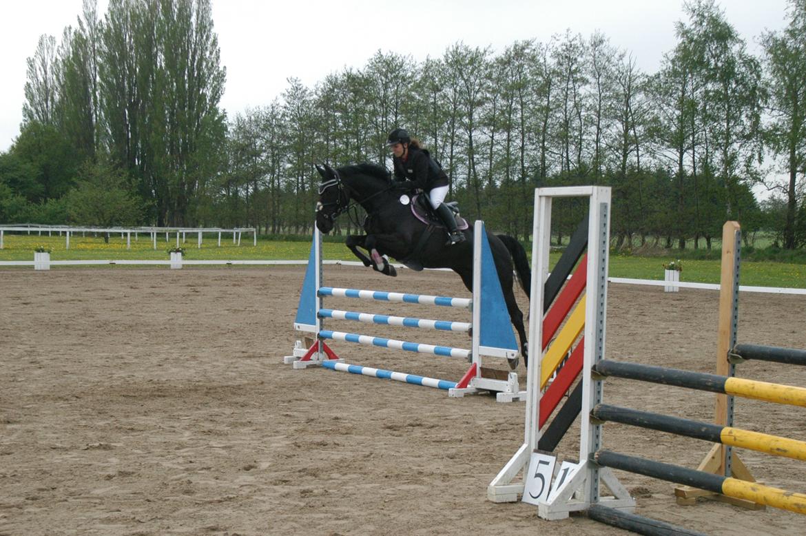 Anden særlig race IVER - 19.05.13 BOGØ LC-spring. :) billede 19