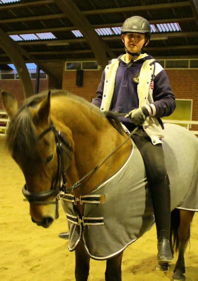 Irsk Sportspony Danny boy (solgt)  billede 16