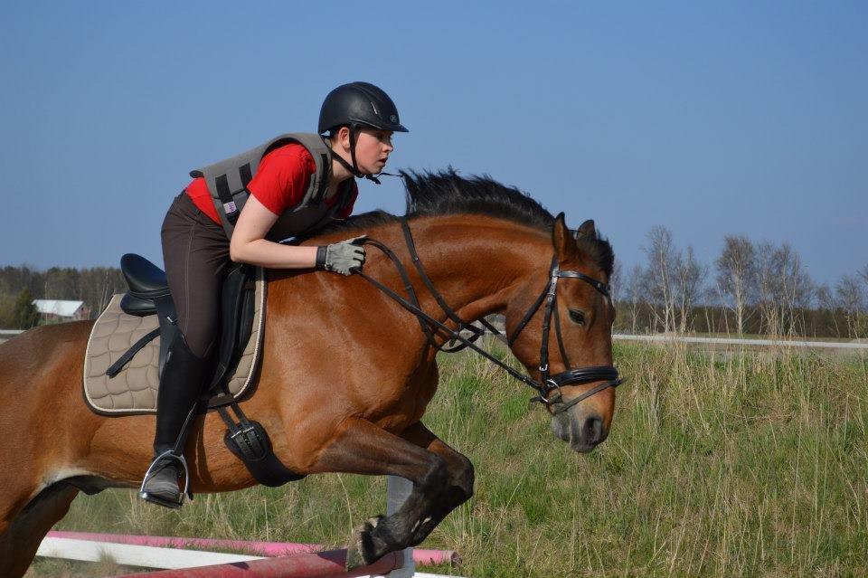 Irsk Sportspony Danny boy (solgt)  billede 23