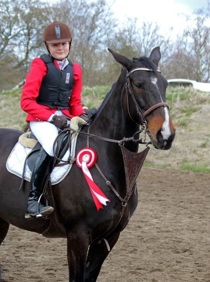 Dansk Varmblod Alberte billede 4