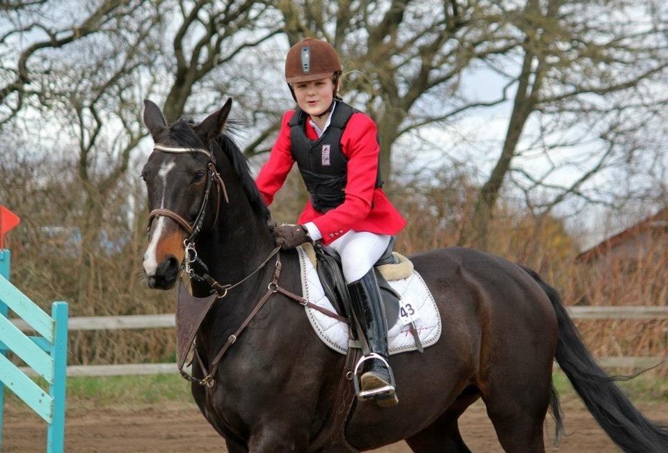 Dansk Varmblod Alberte billede 7