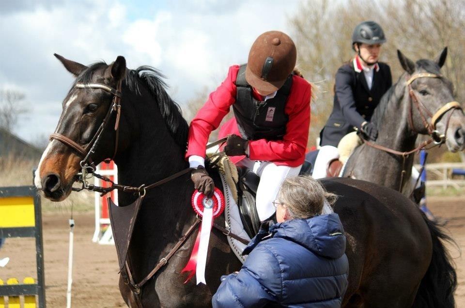 Dansk Varmblod Alberte billede 11