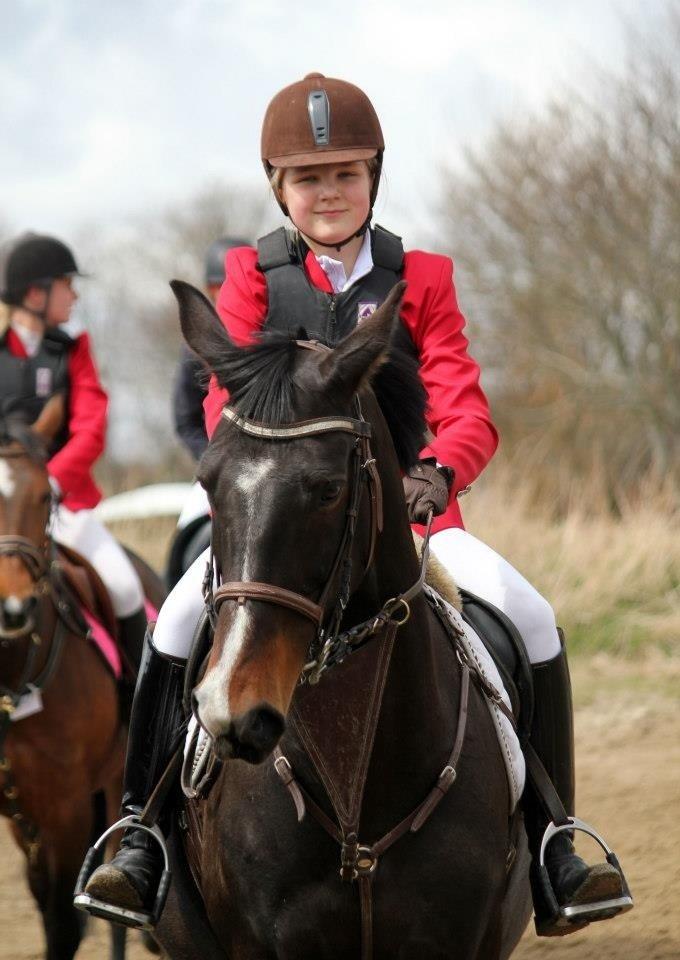 Dansk Varmblod Alberte billede 13