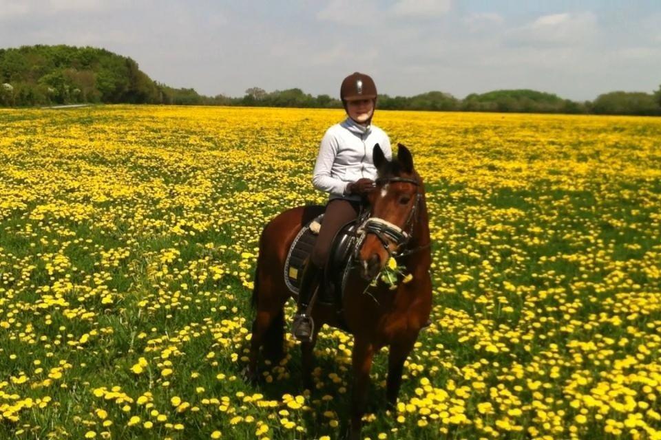 New Forest wiechhofs ravamoon billede 16