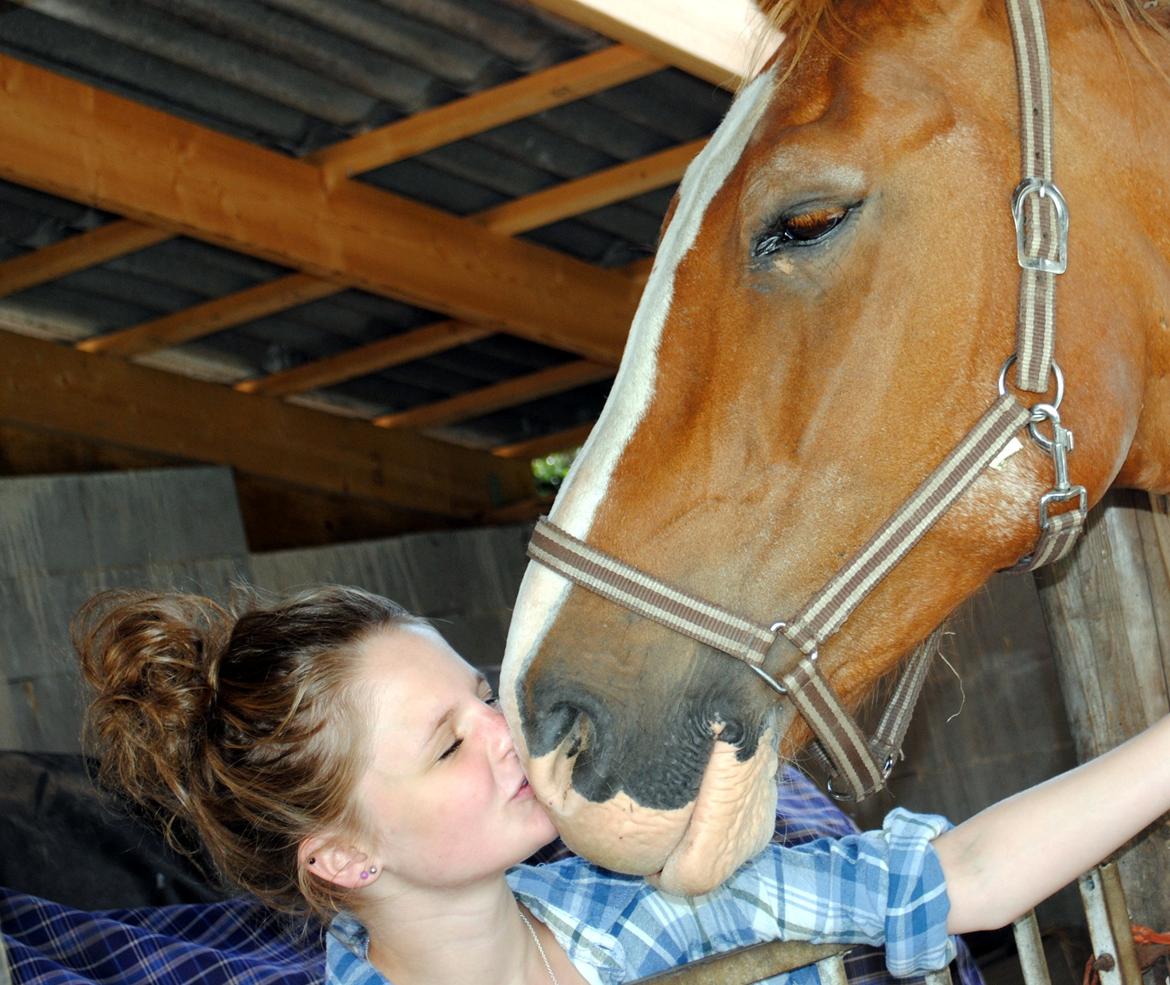 Frederiksborg Humlegårdens Bastian. billede 11
