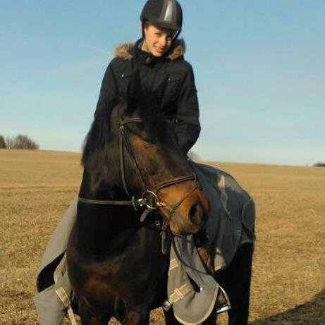 Hollandsk Sportspony Scarlett - Dig og mig forever<3 billede 6