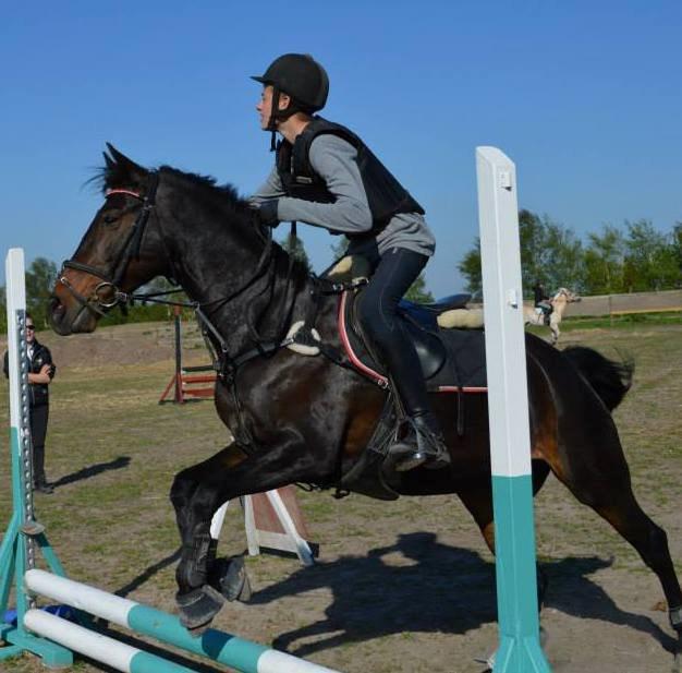 Hollandsk Sportspony Scarlett - <3 billede 7