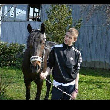 Hollandsk Sportspony Scarlett - <3 billede 8