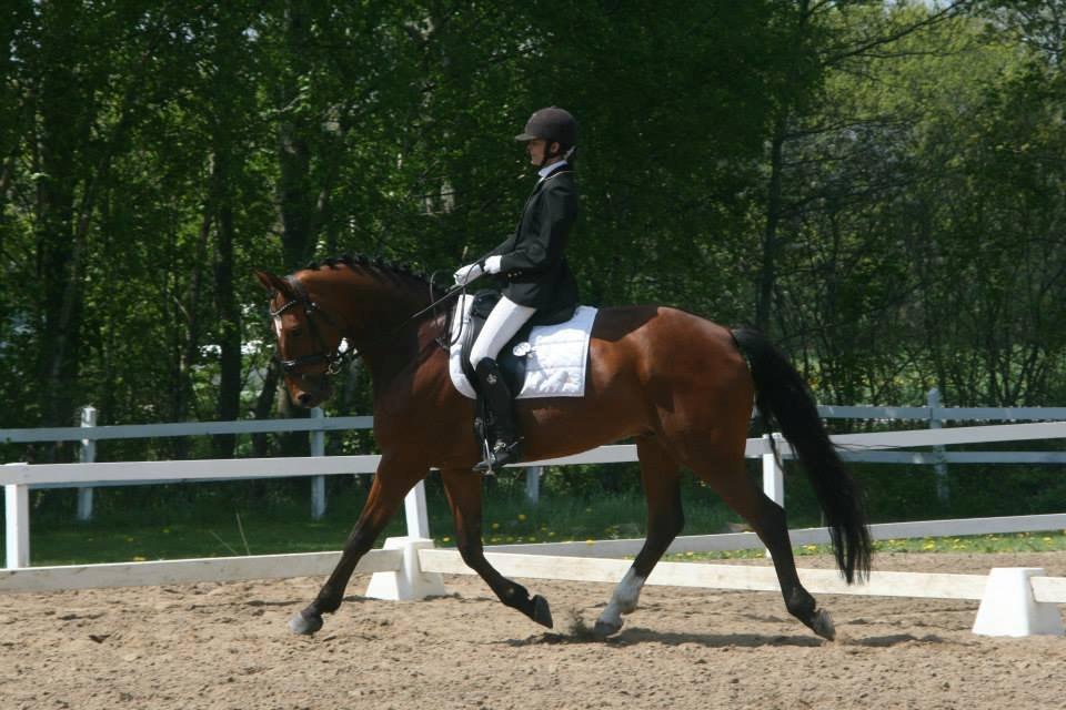 Dansk Varmblod World Dancer - 18-05-2013 Pinsestævne i NLR billede 14