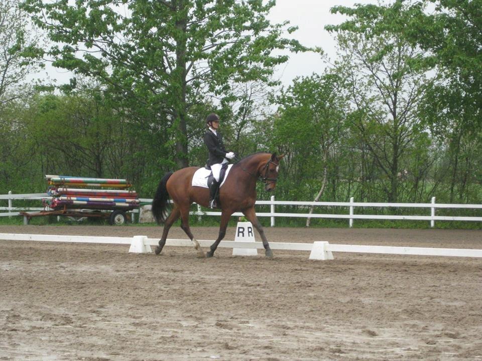 Dansk Varmblod World Dancer - 19-05-2013 Pinsestævne i NLR billede 18