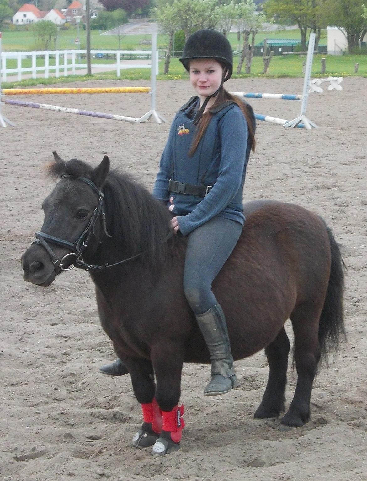 Shetlænder Charlie - Når både rytter, og pony er glade. Så kan det ikke gå helt galt. :) billede 6