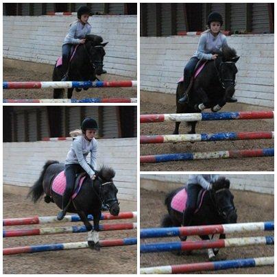 Shetlænder Charlie - Højdespring på den bette. Sååå dygtig han er! billede 9