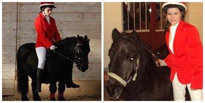 Shetlænder Charlie - Charlie´s første julestævne/ stævne. Selvom vi fik en 8 plads, (sidsteplads) er jeg stadig glad og stolt!  billede 3