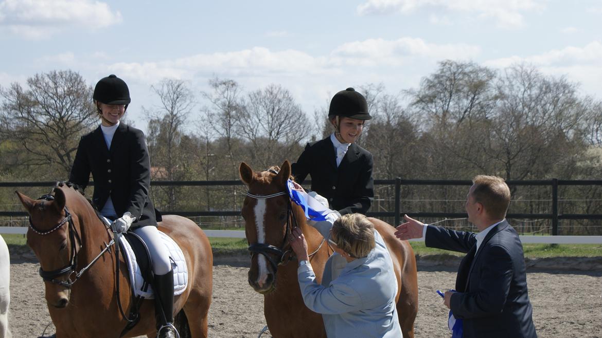 Anden særlig race Chico B-pony - Distriktmesterskab for ponyhold 2013-2.plads billede 17