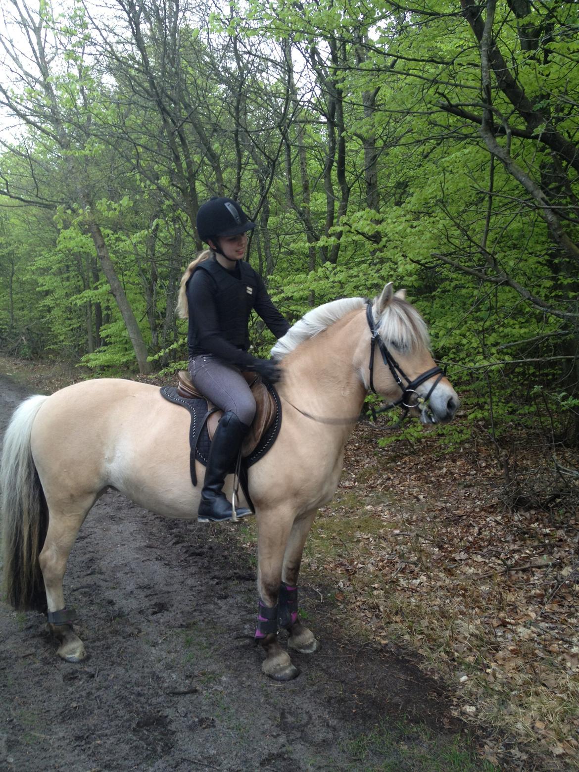 Fjordhest Freja <3 - ude og gå tur<3 billede 17