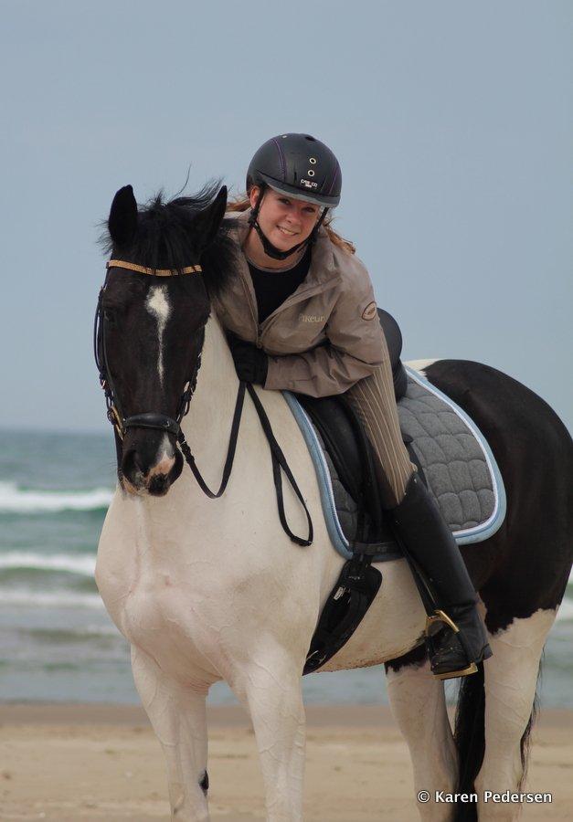 Pinto Vestervangs Miss Zorba - Lovely <3 billede 3