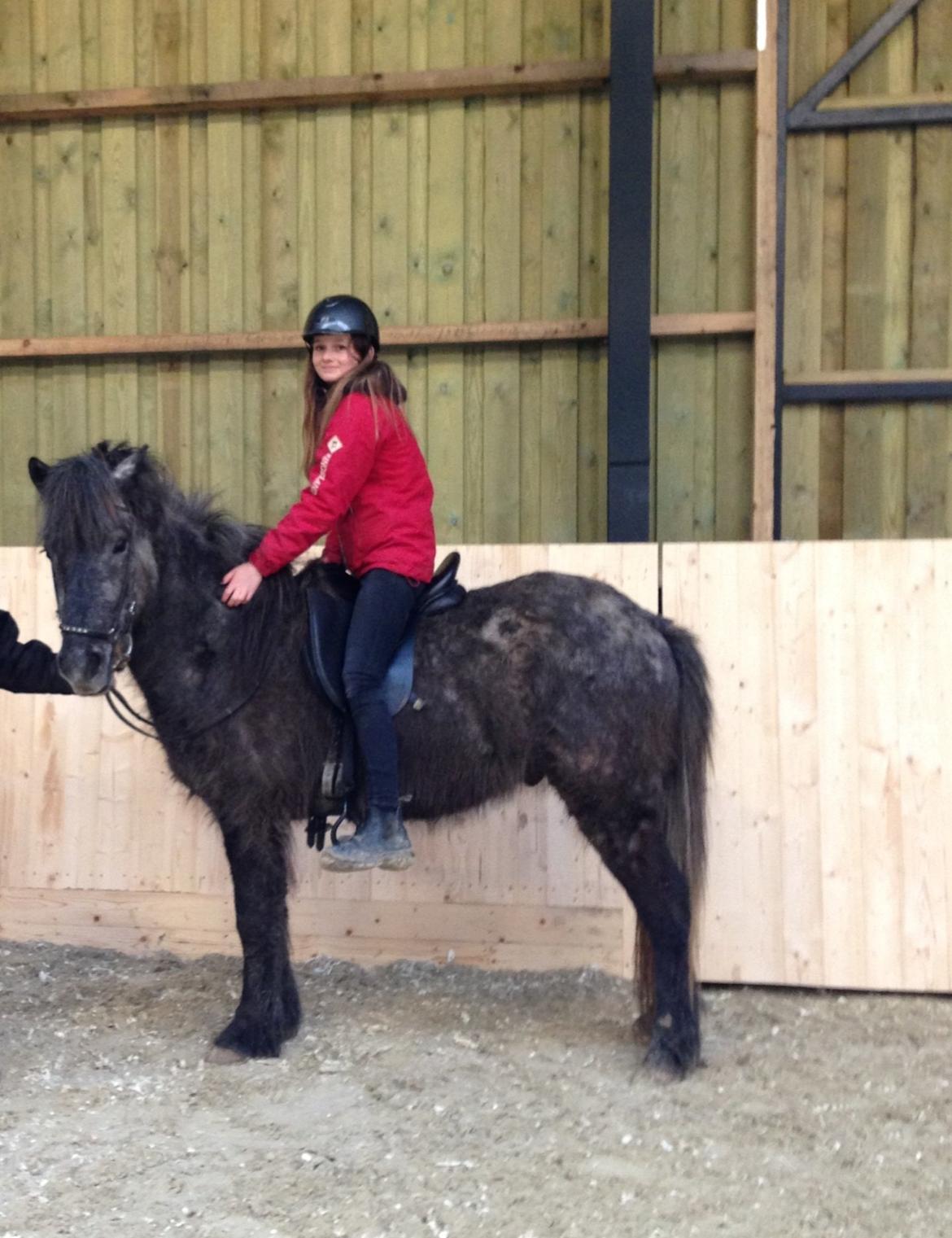 Islænder Sölvi frá Yggdrasil billede 10