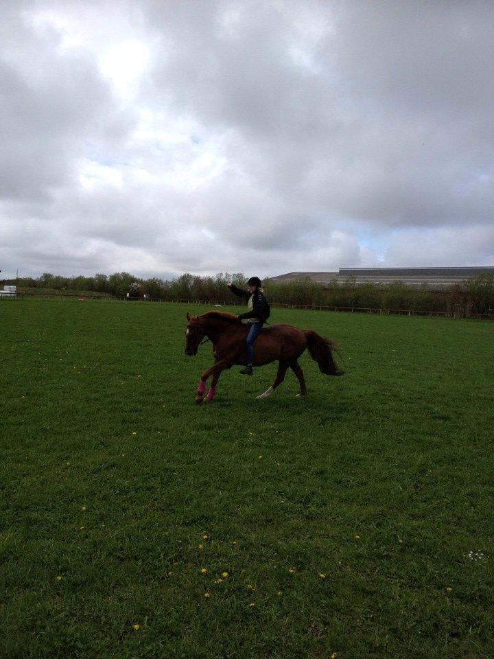 Anden særlig race Mr. Lonely [Der var engang..] billede 3