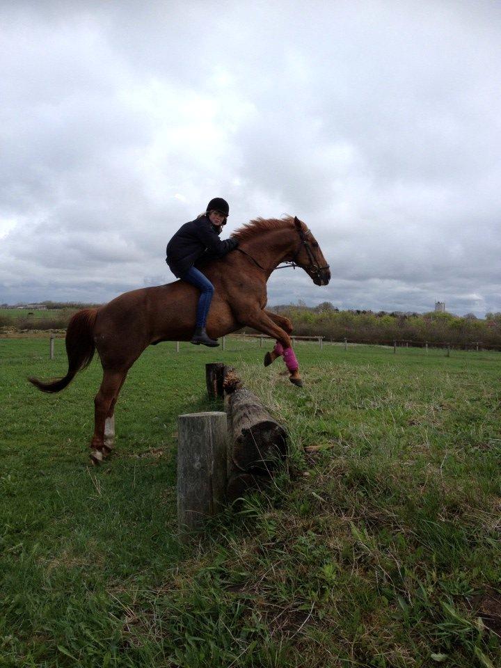 Anden særlig race Mr. Lonely [Der var engang..] - Velkommen! Lolle var misforstået, og overladt til sig selv.. billede 1