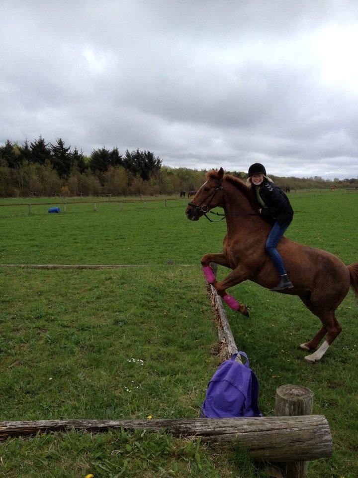 Anden særlig race Mr. Lonely [Der var engang..] billede 6