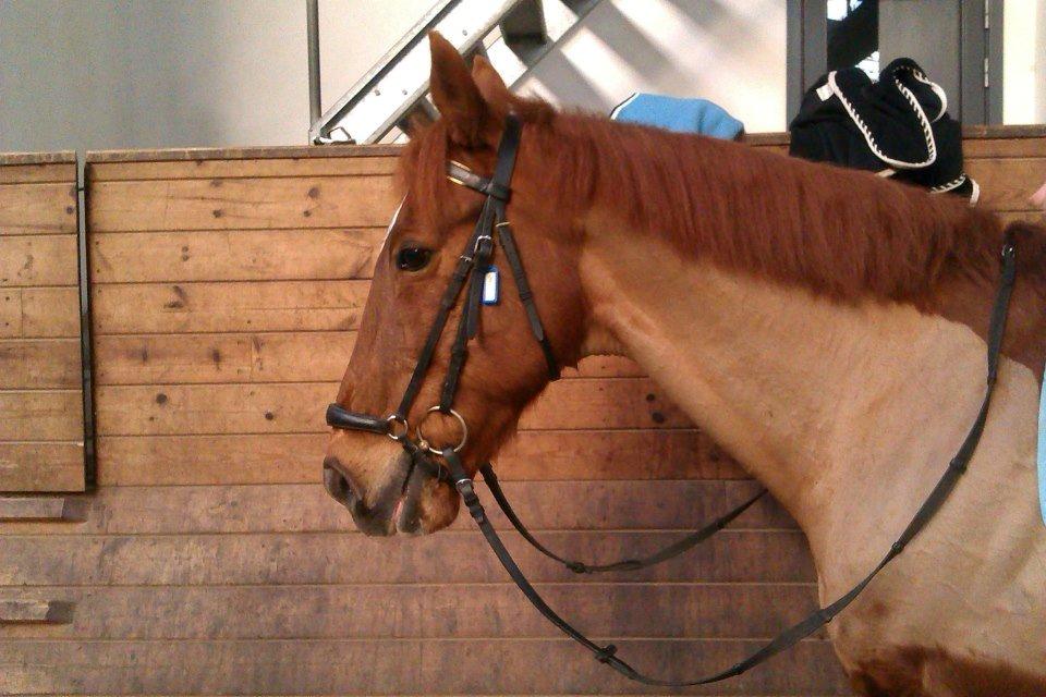 Anden særlig race Mr. Lonely [Der var engang..] billede 8