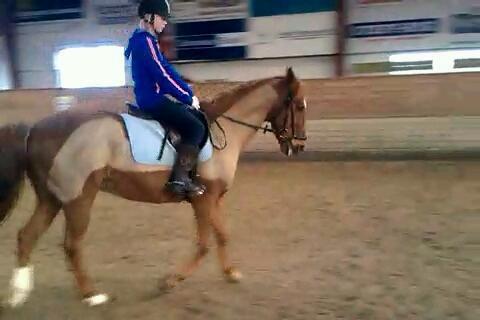 Anden særlig race Mr. Lonely [Der var engang..] billede 9