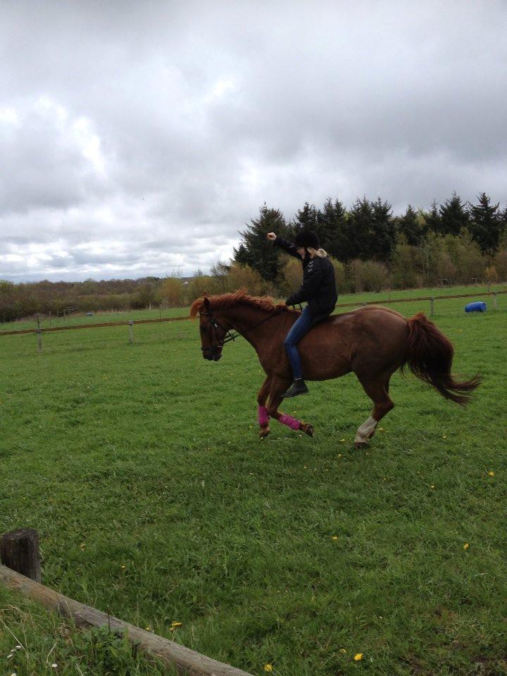 Anden særlig race Mr. Lonely [Der var engang..] billede 10