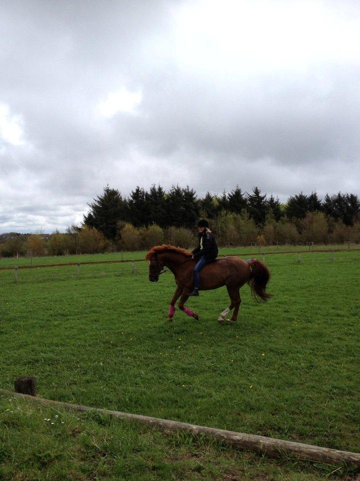 Anden særlig race Mr. Lonely [Der var engang..] billede 7